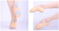 BALLETSHOES_nude3.jpg
