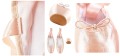 pointe2.jpg